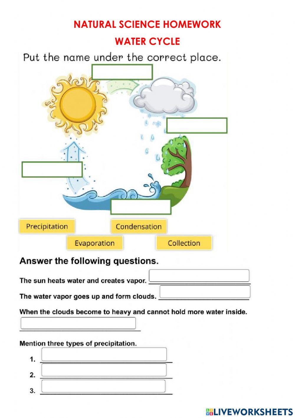 Water cycle