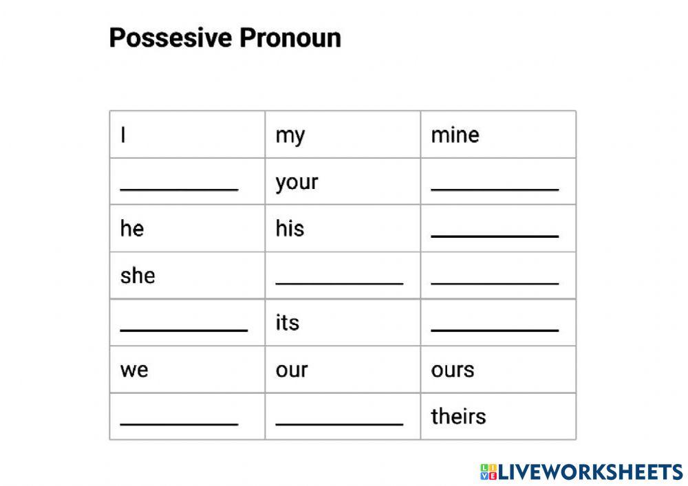 Language: Possesive Pronoun