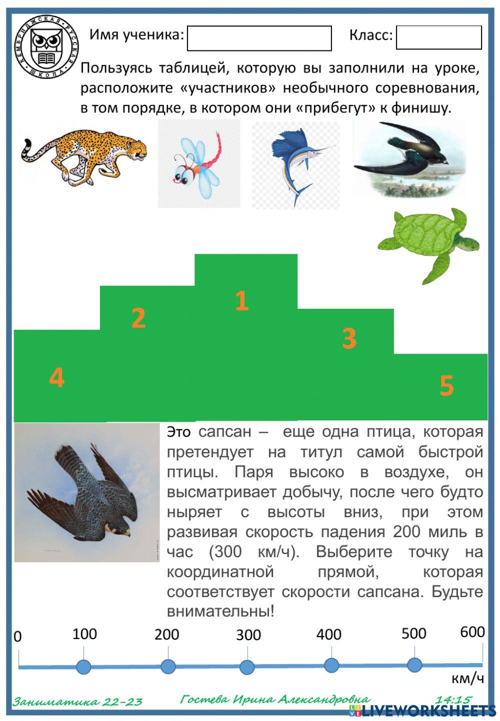 Самые быстрые interactive worksheet | Live Worksheets