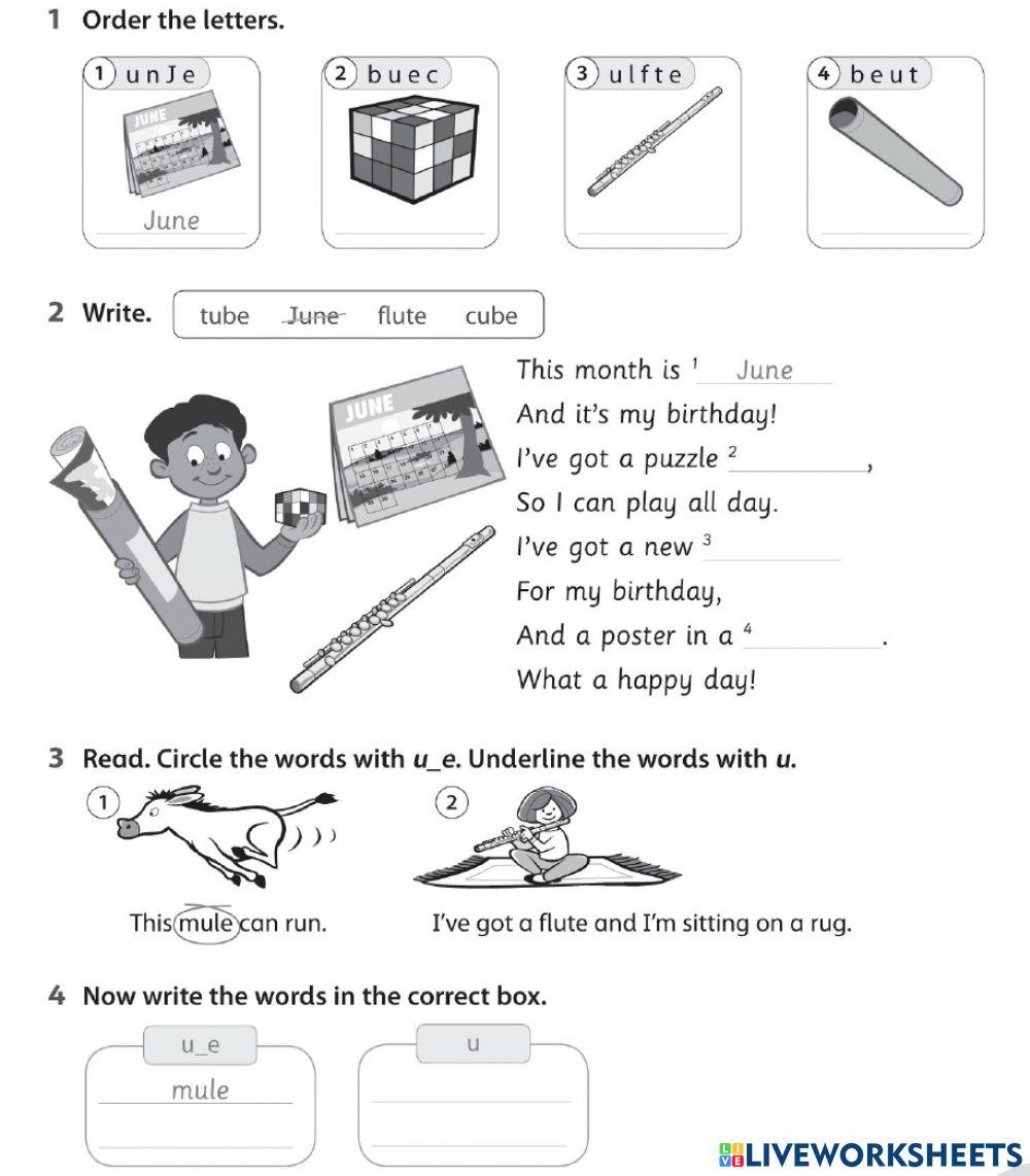 Phonics Vocabulary by teacher Kazim