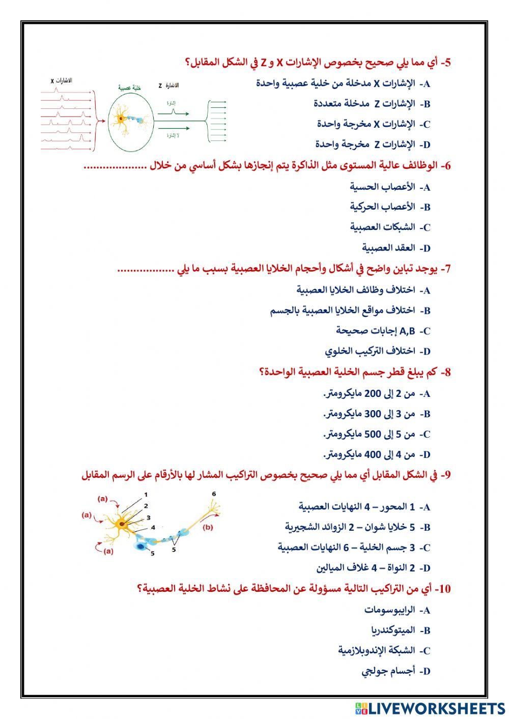 اختياري 4 الجهاز العصبي
