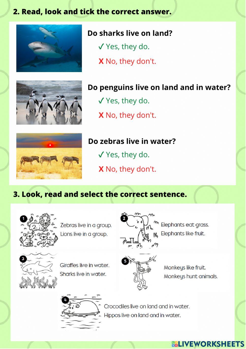 Unit 3: Why are animals amazing?