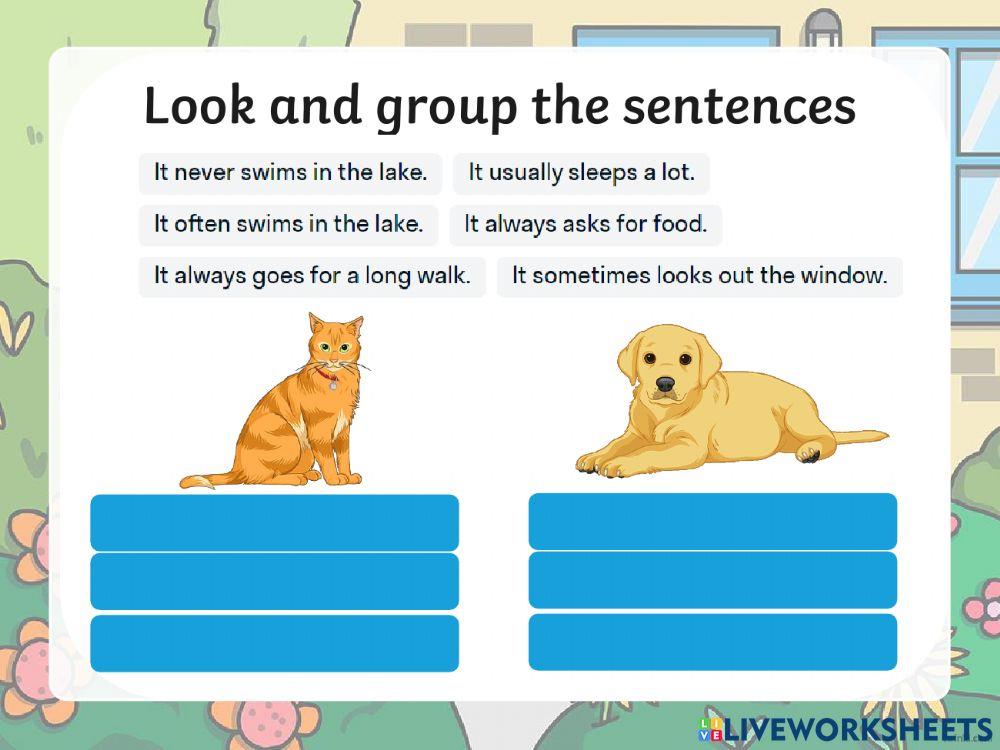 Adverbs of frequency
