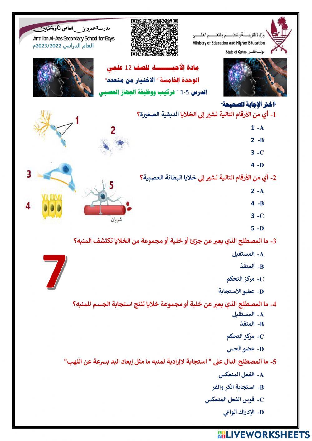 اختياري 7 الجهاز العصبي