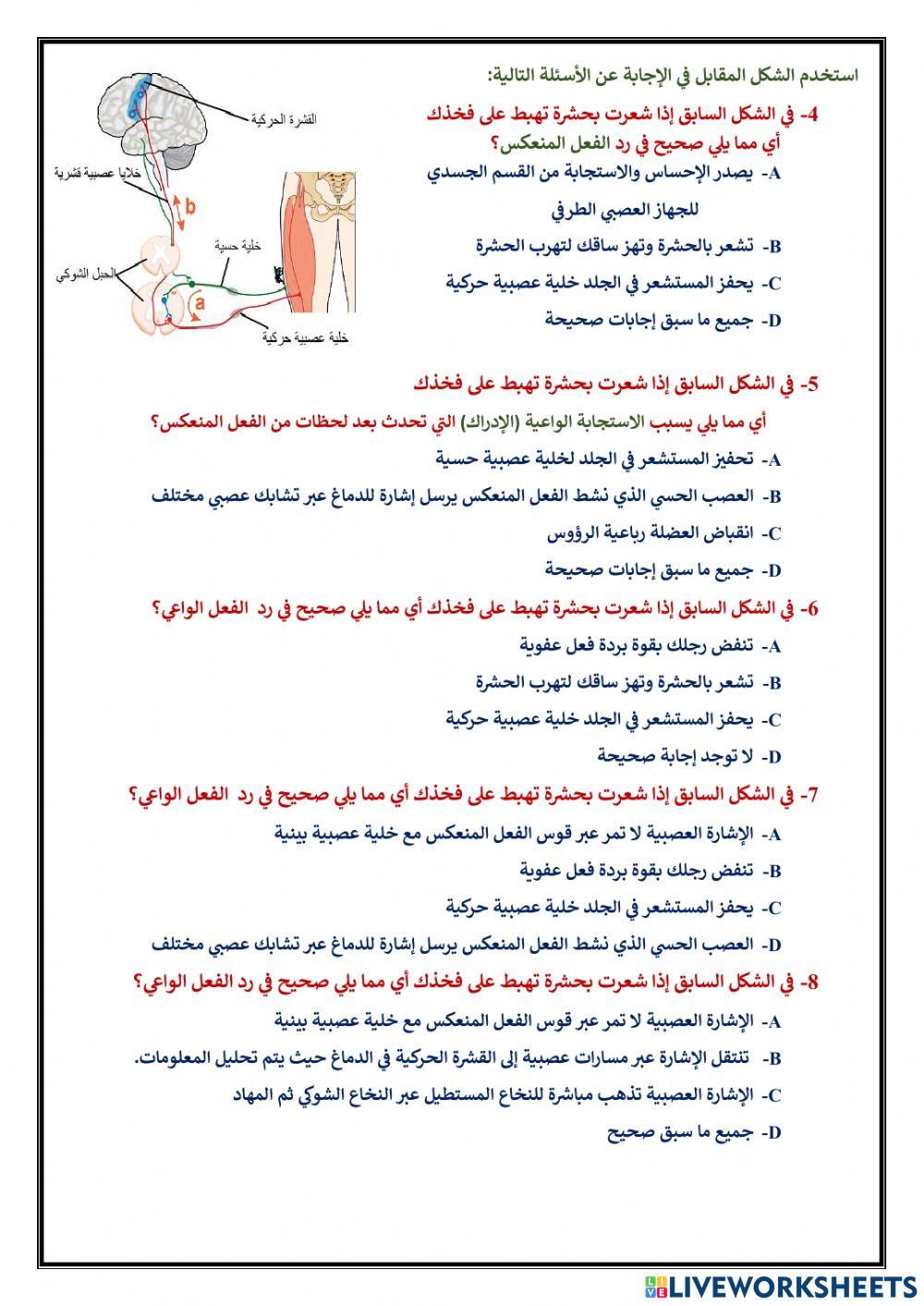 اختياري 8 الجهاز العصبي