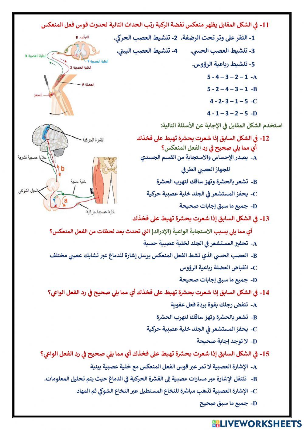 اختياري 9 الجهاز العصبي