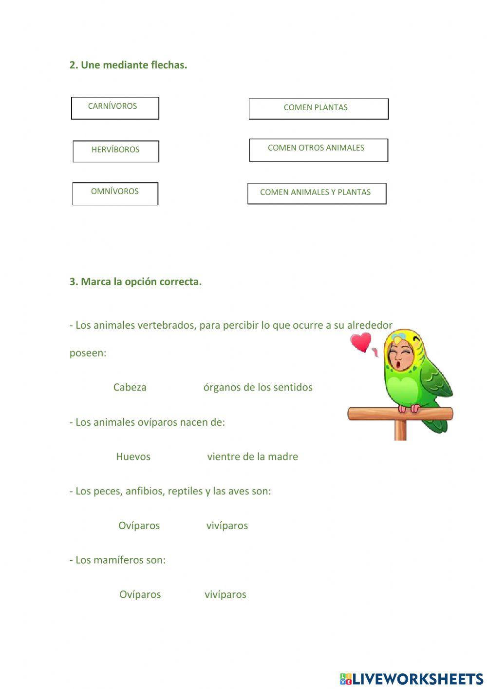 Animales vertebrados