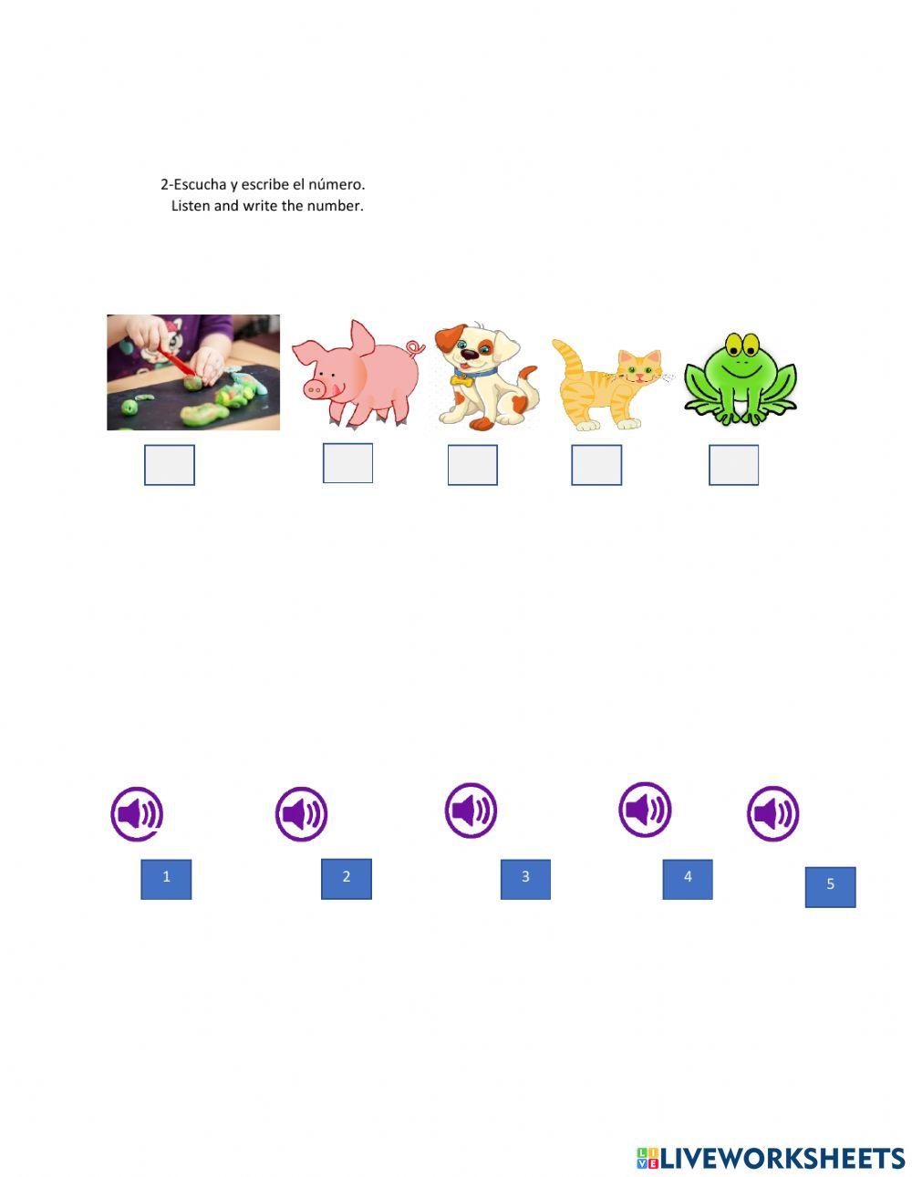 La plastilina vocabulário