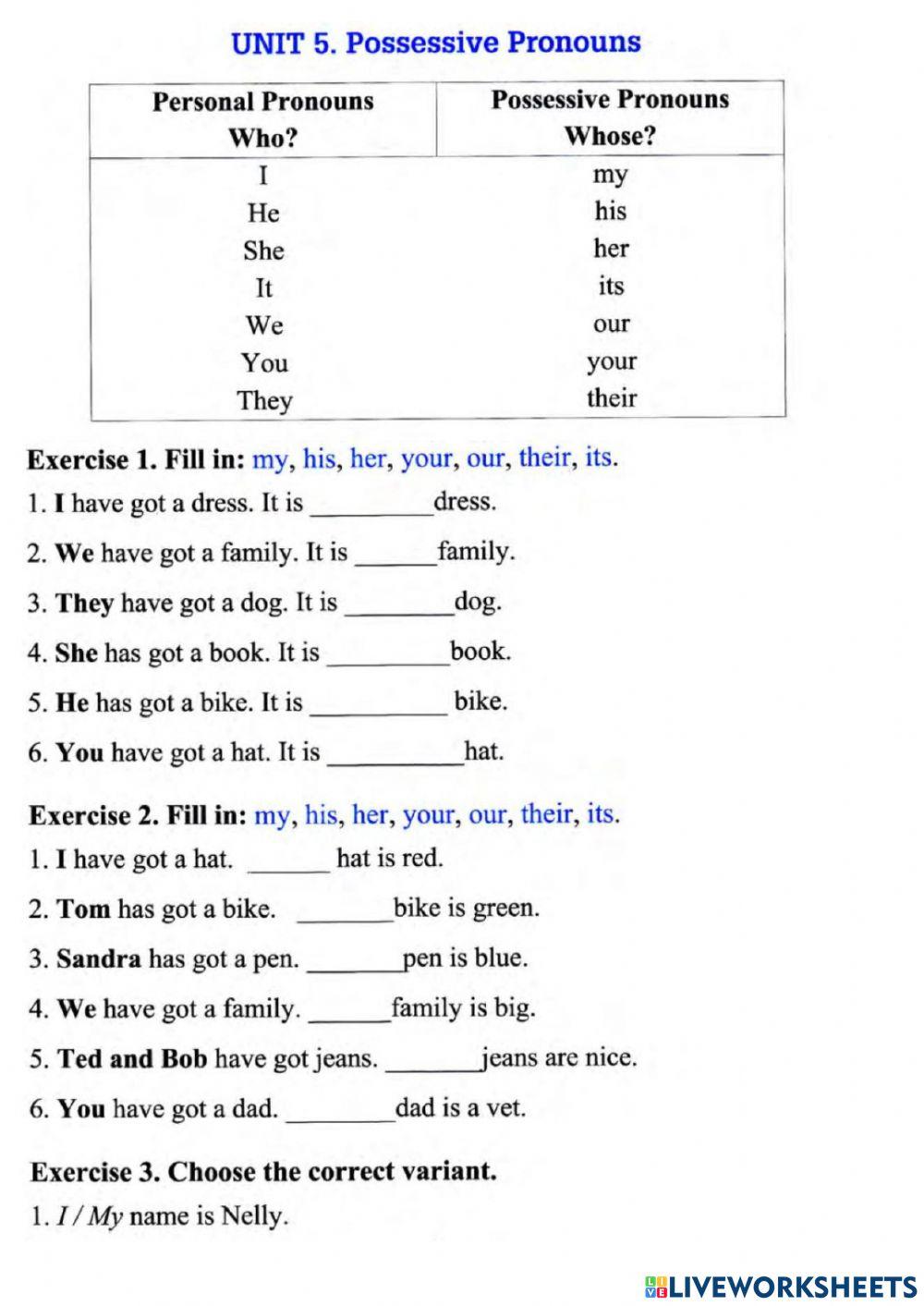 POSSESSIVE aDJECTIVES