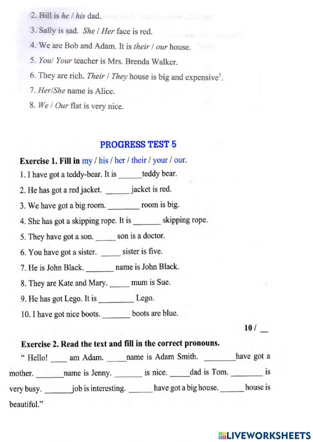 POSSESSIVE aDJECTIVES