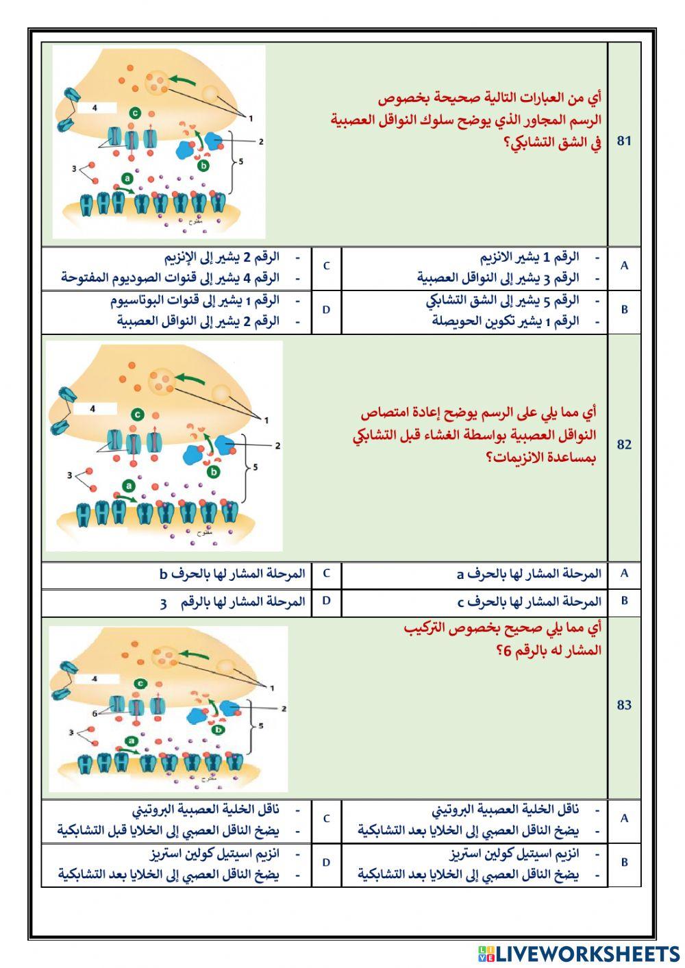اختياري 16 جهد الفعل الجهاز العصبي