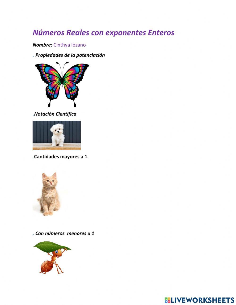 Numeros enteros con exponentes enteros