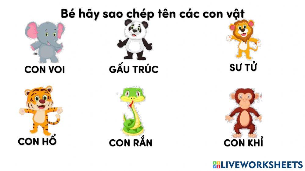 Lựa chọn tên đúng