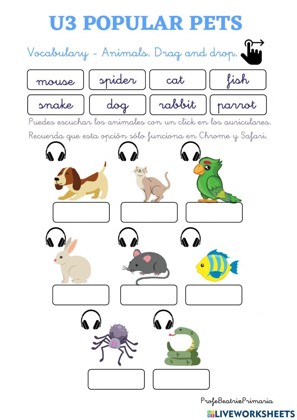 Go Far Richmond Year 1 U3 Popular Pets (I)