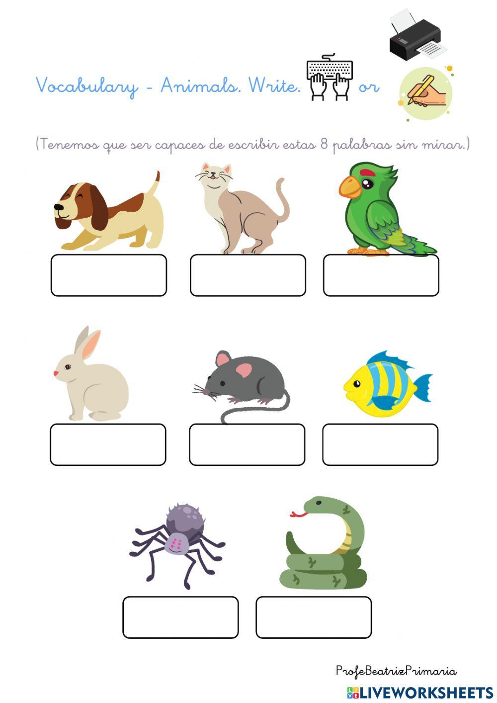 Go Far Richmond Year 1 U3 Popular Pets (I)