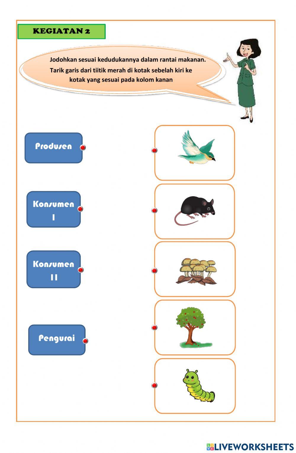 Hubungan Antarmakhluk Hidup dalam Ekosistem Tema 5 Subtema 2 Pembelajaran 2