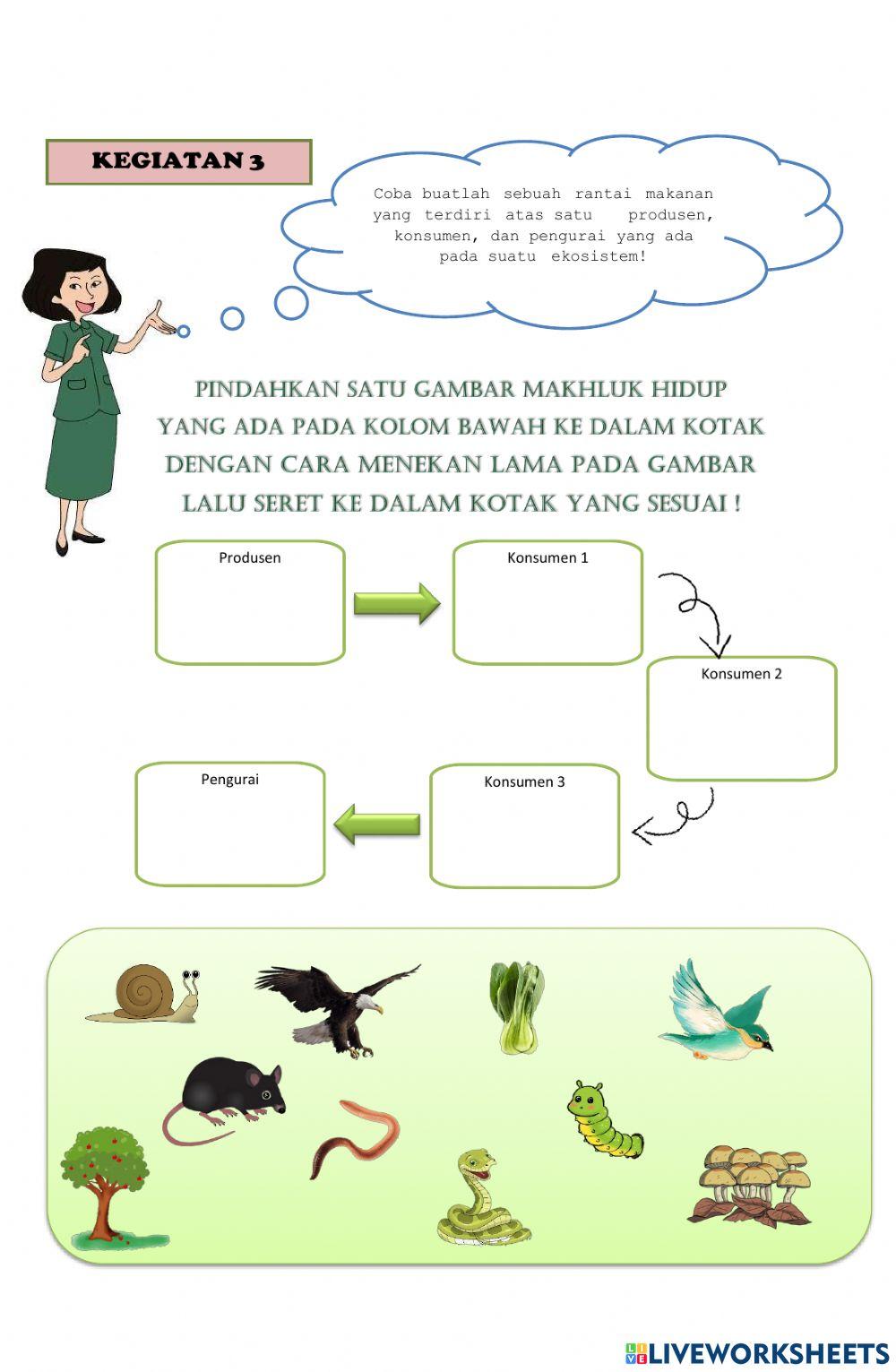 Hubungan Antarmakhluk Hidup dalam Ekosistem Tema 5 Subtema 2 Pembelajaran 2