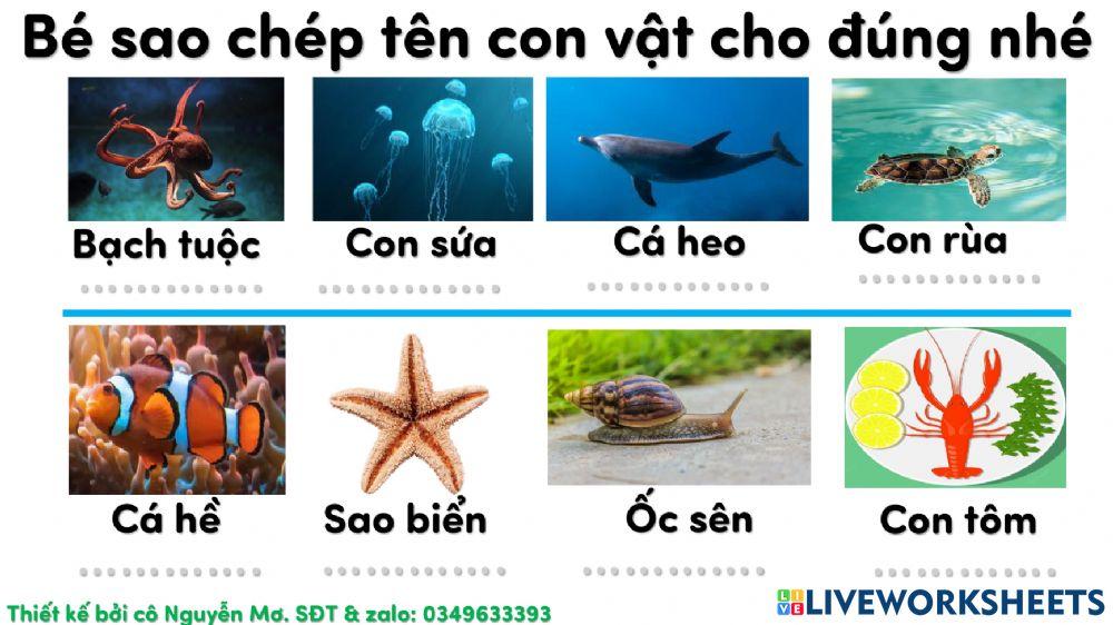 Sao chép tên con vật