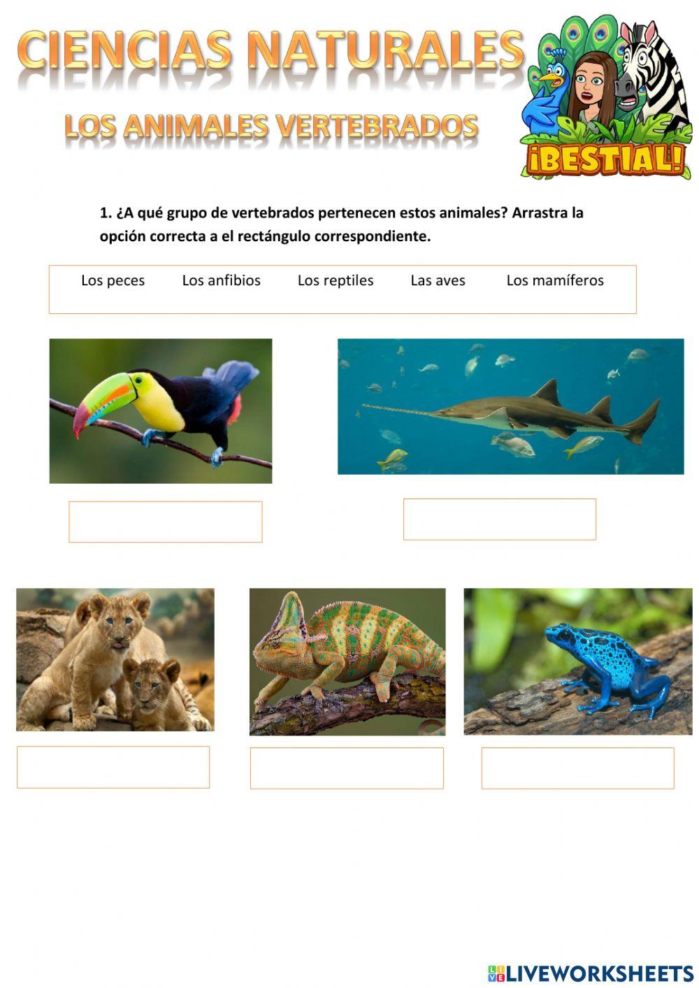 Animales vertebrados