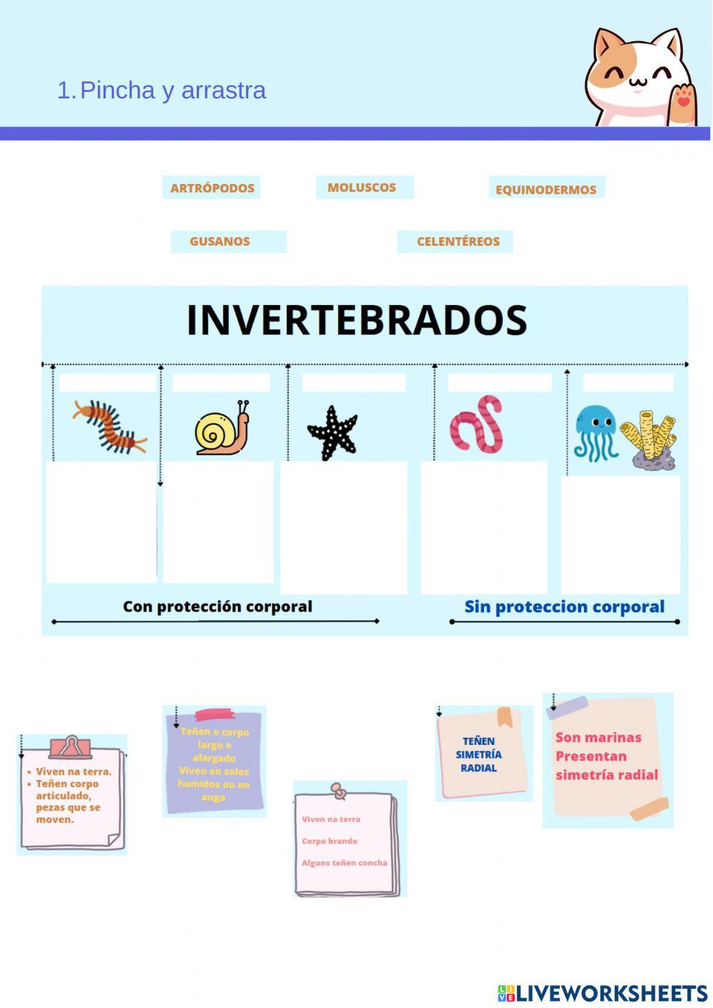 Invertebrados