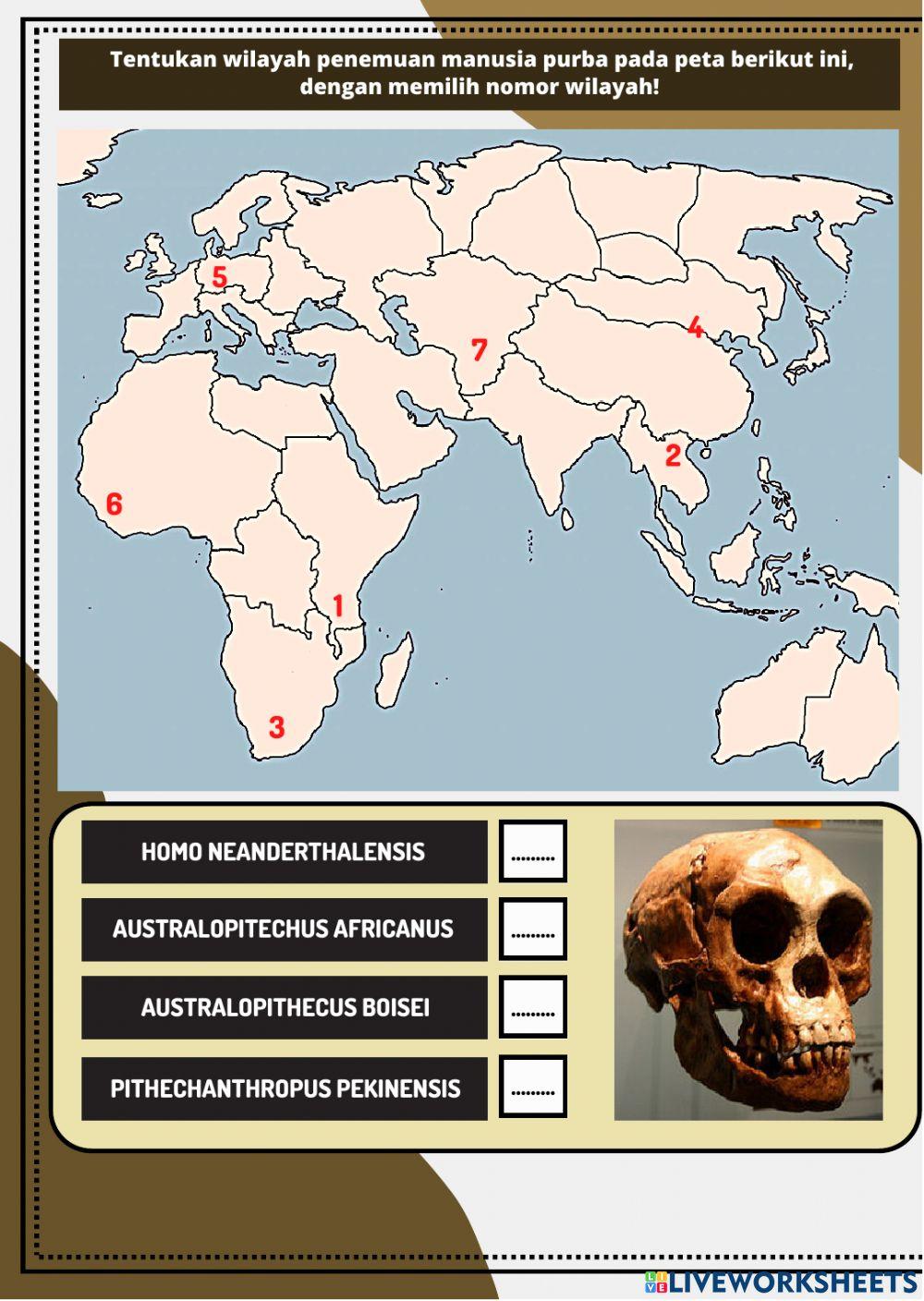 Manusia purba indonesia dan dunia