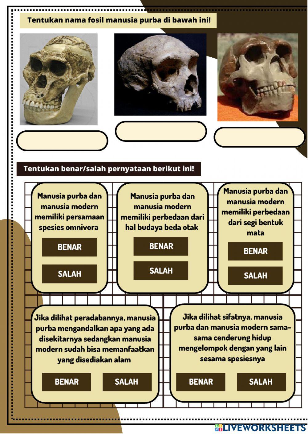 Manusia purba indonesia dan dunia