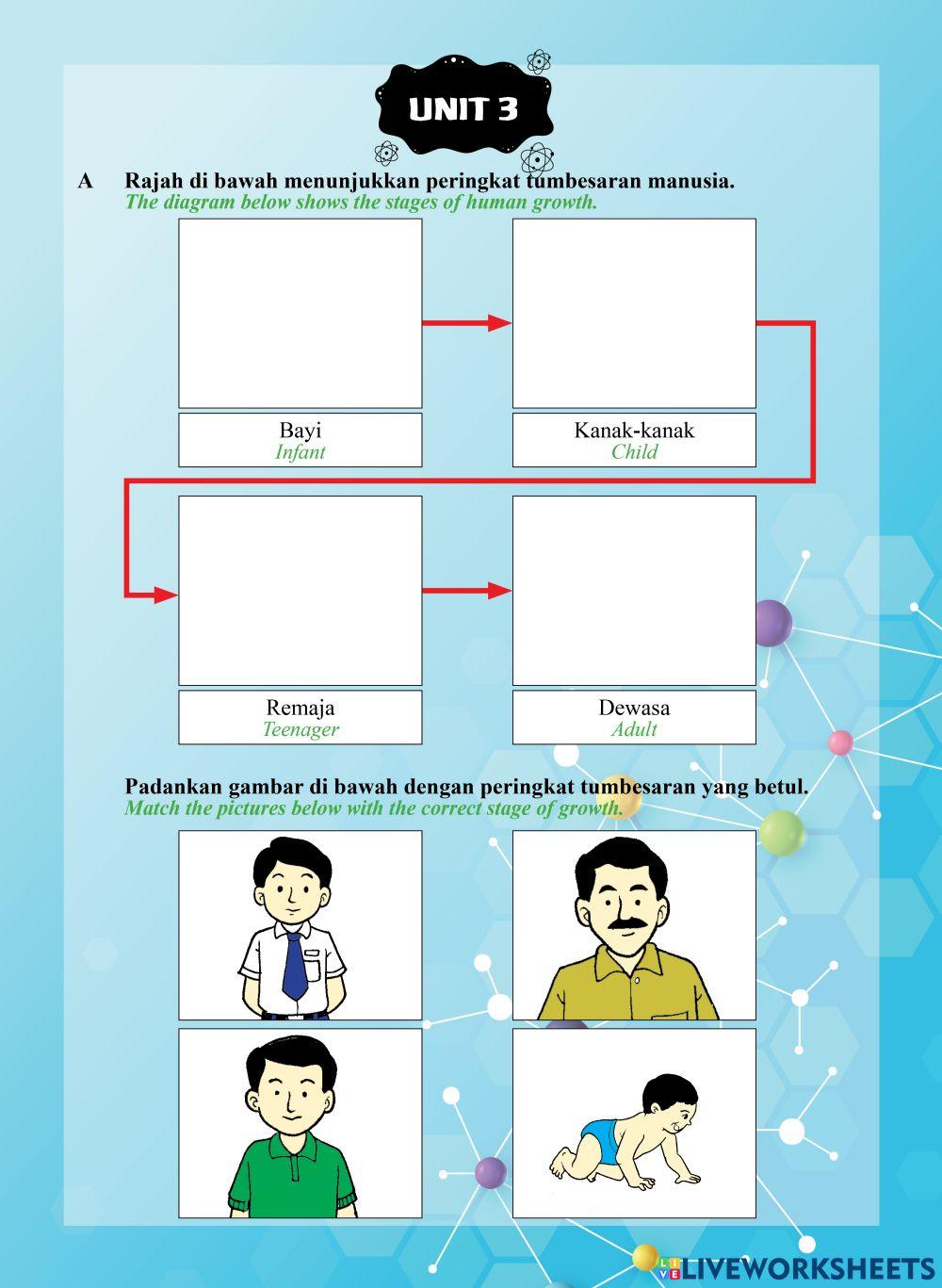 Tutor Sukses 2023 - 24 Sains Tahun 2-Unit 3