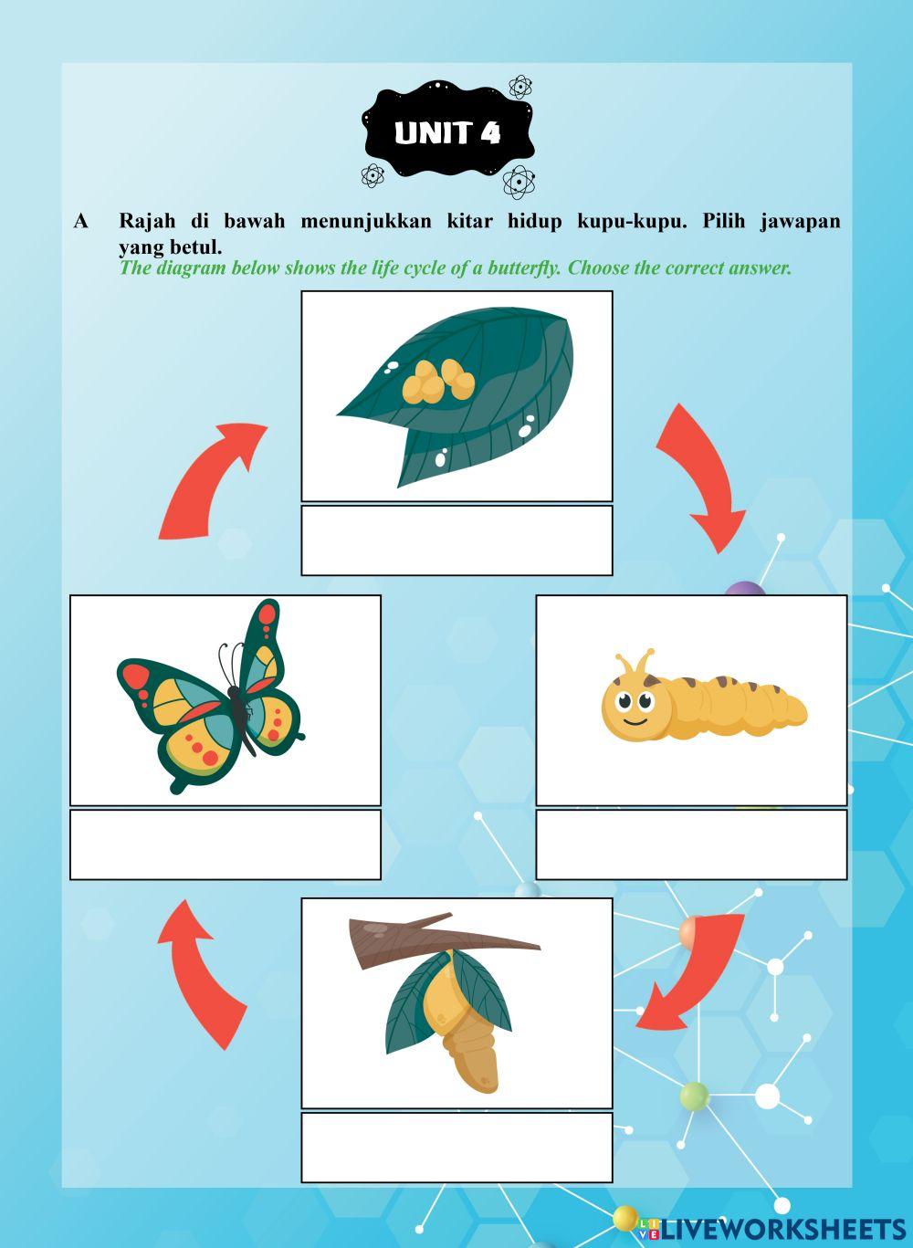 Tutor Sukses 2023 - 24 Sains Tahun 2-Unit 4