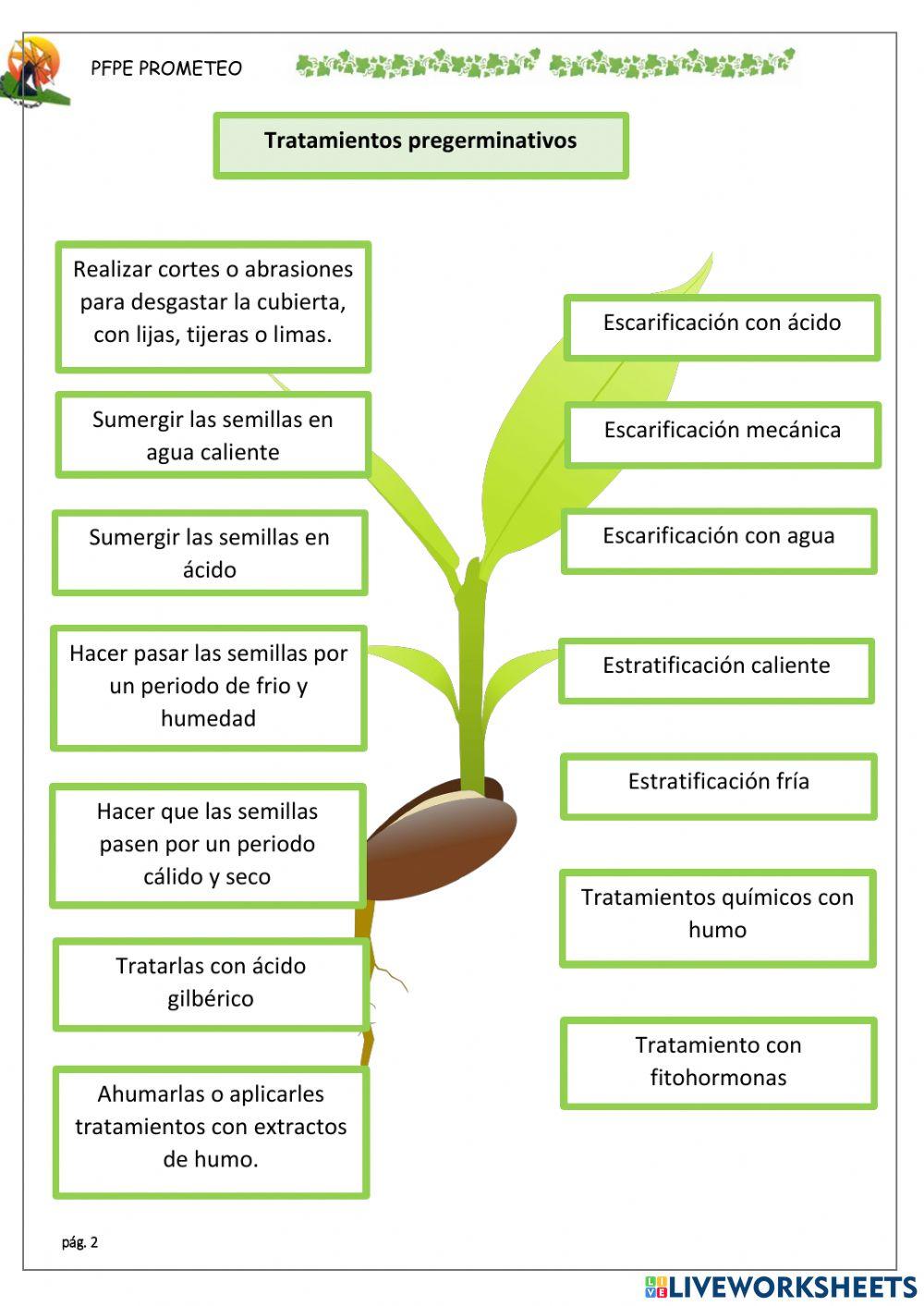 Tratamientos pregerminativos