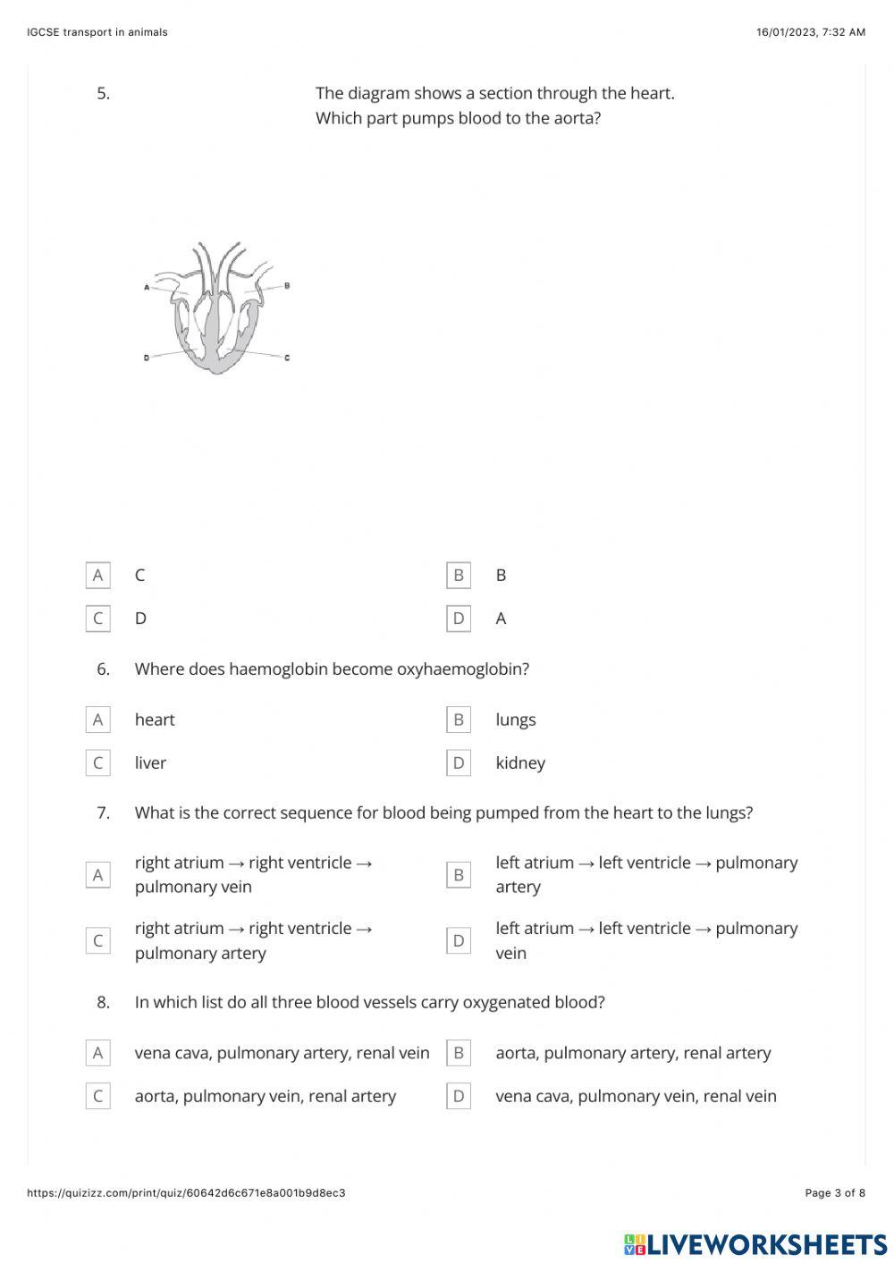 IGESE Transport in animals