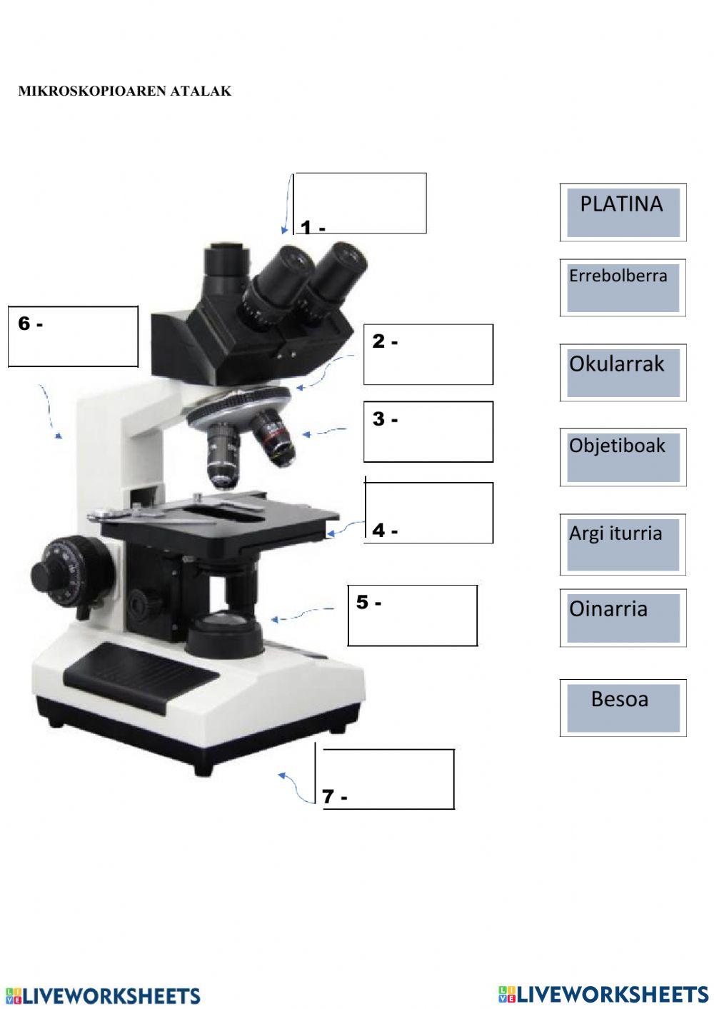 Mikroskopioaren atalak