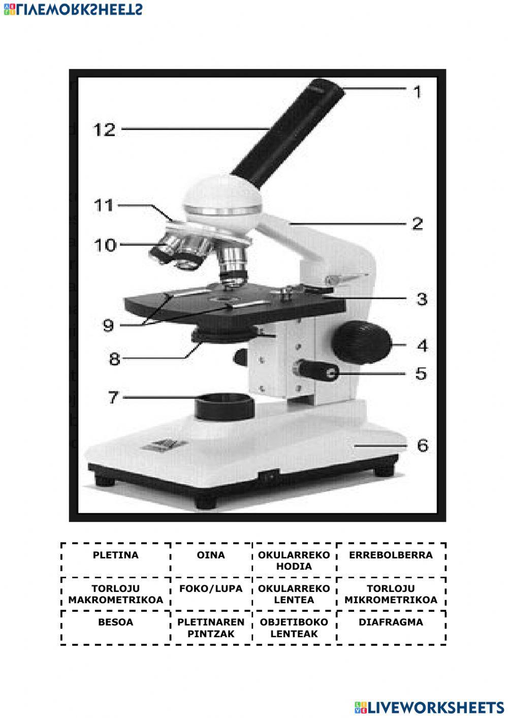 Mikroskopioaren atalak