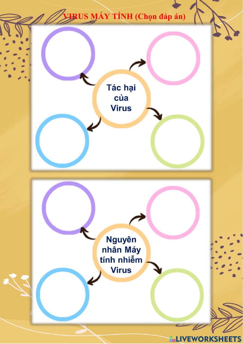 Khối 5 - Phiếu 23A