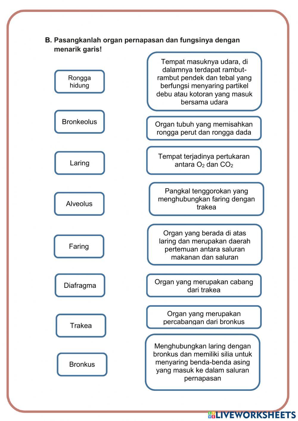 LKPD Sistem Pernapasan Manusia
