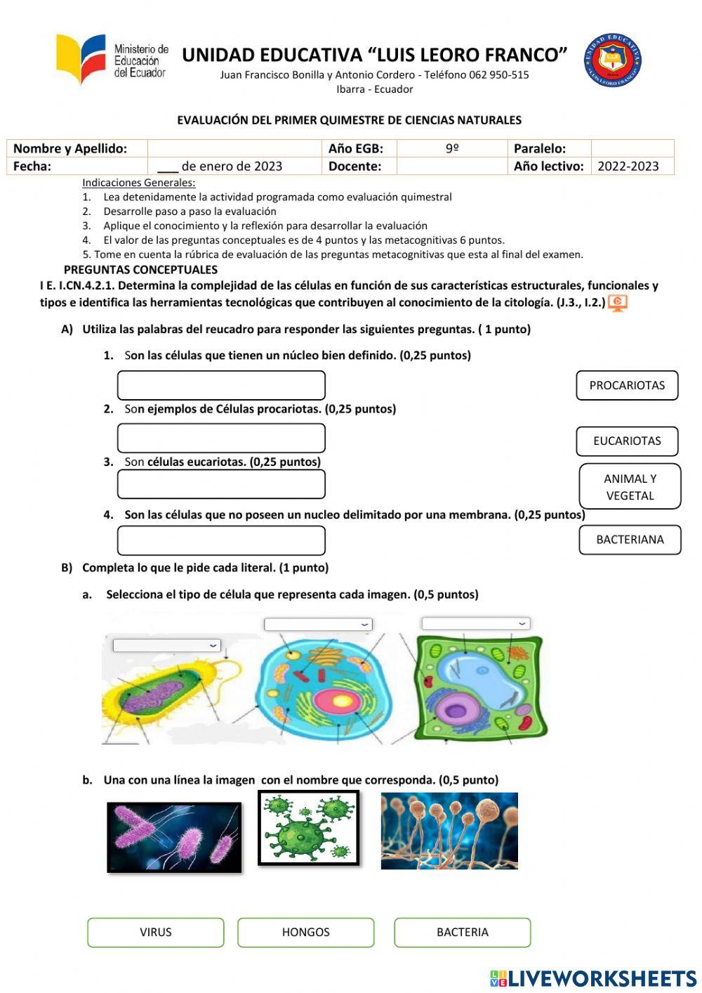Examen i quimestre cc-nn