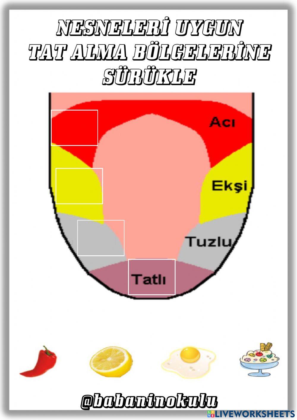 16-20 OCAK GENEL TEKRAR CUMARTESİ