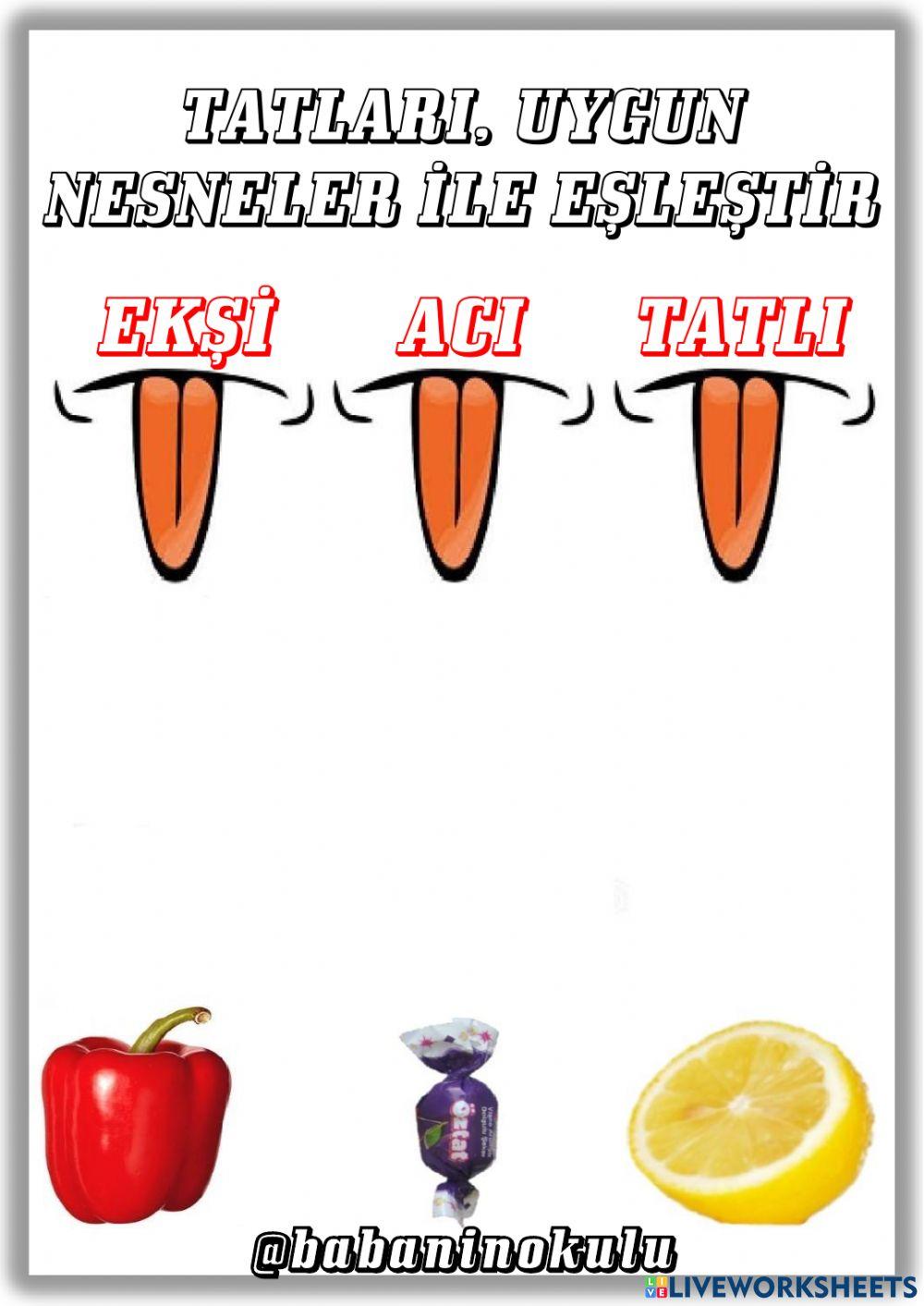 16-20 OCAK GENEL TEKRAR CUMARTESİ