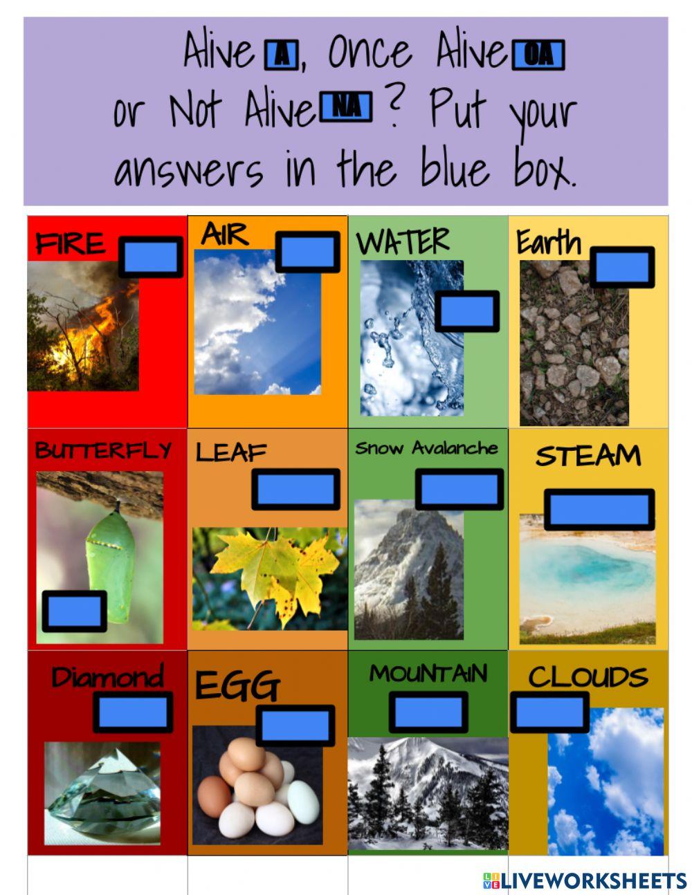 Alive, Once Alive or Not Alive?