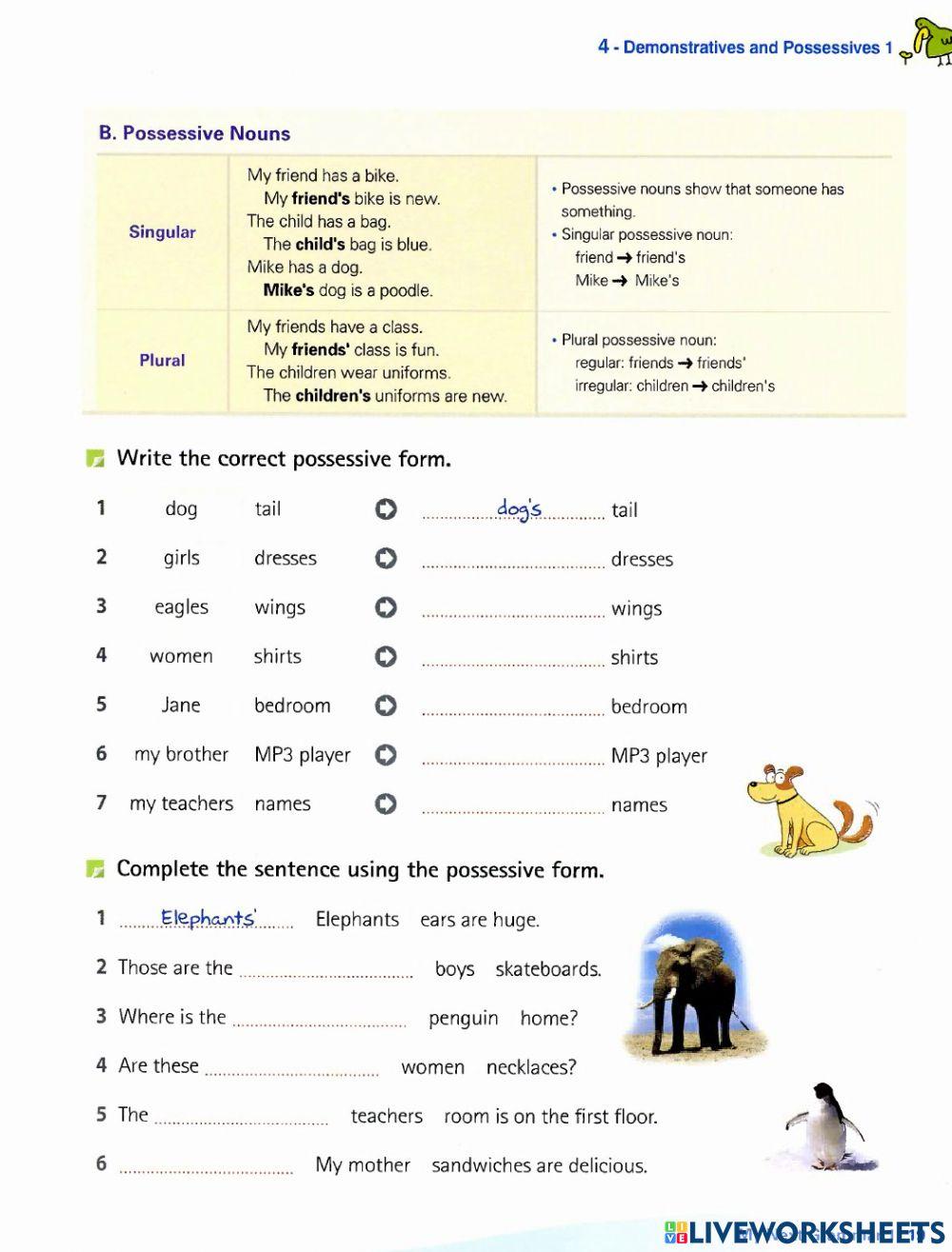 Demonstative & possesive