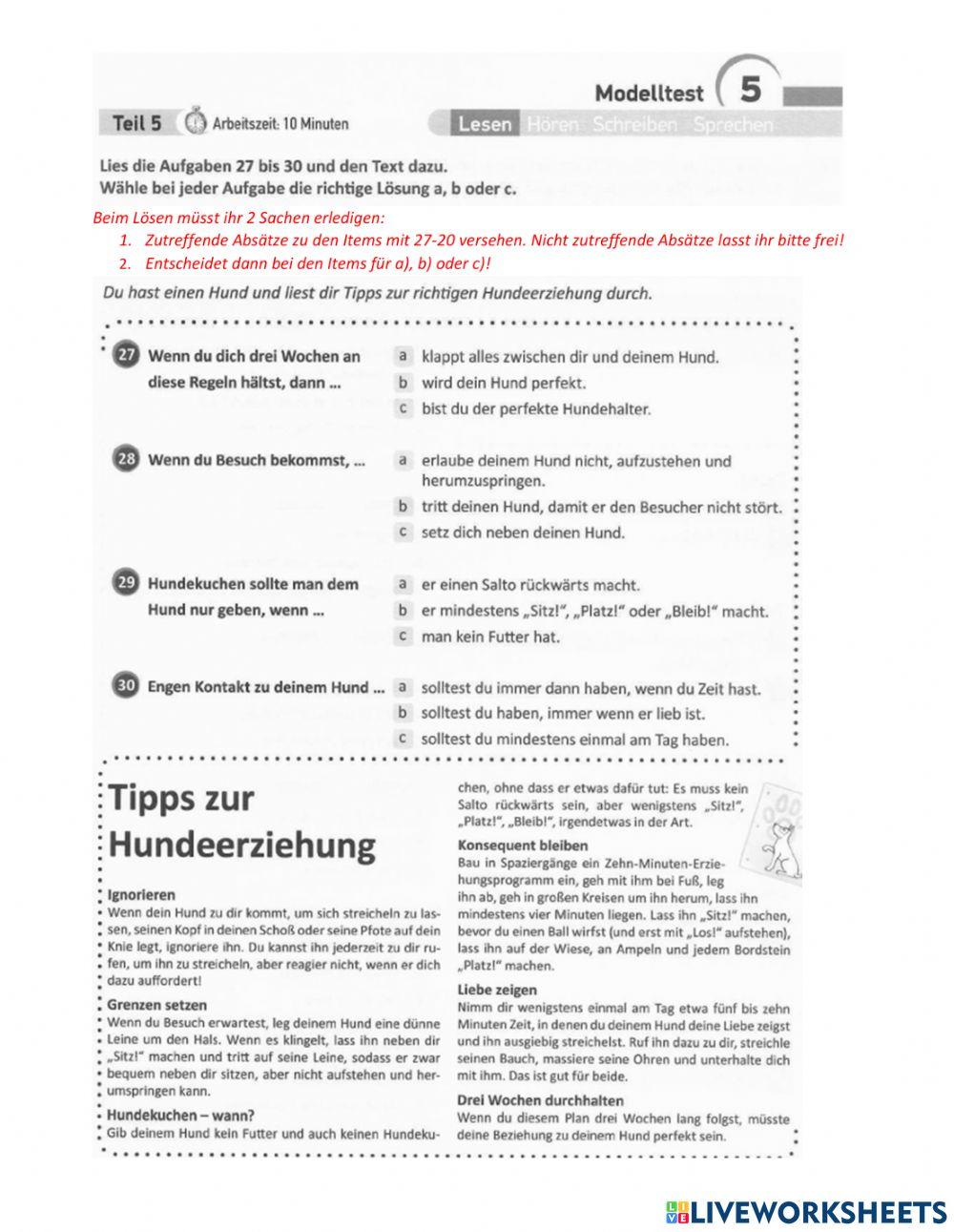 B1 PV Projekt B1 M5T5