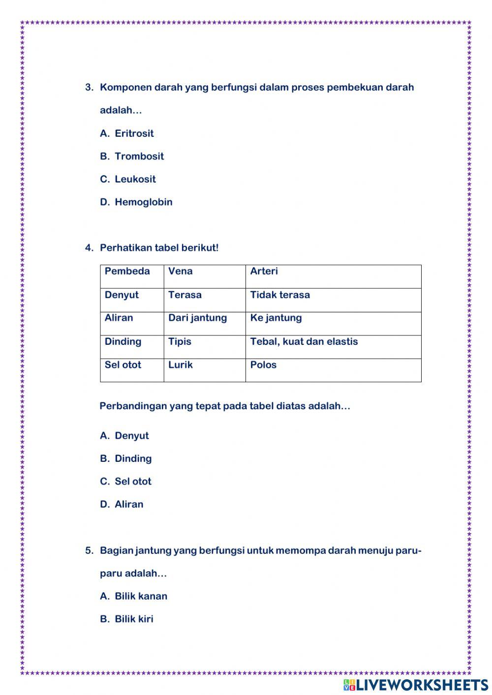 Sistem Peredaran Darah Manusia