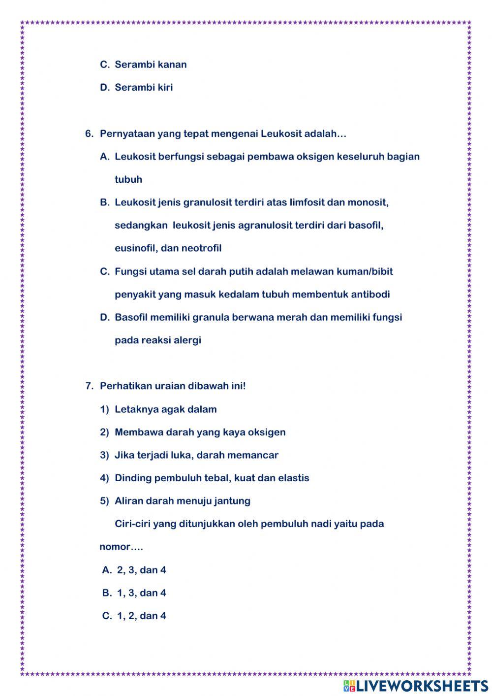 Sistem Peredaran Darah Manusia