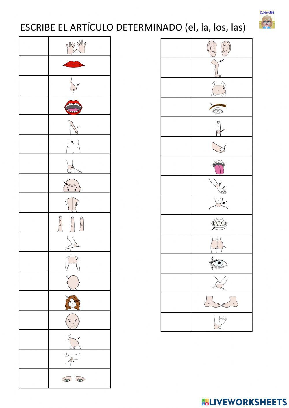 Artículos y las partes del cuerpo