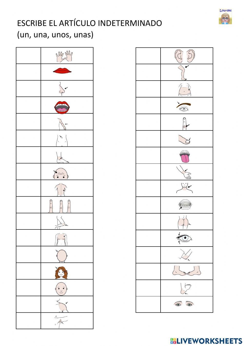 Artículos y las partes del cuerpo