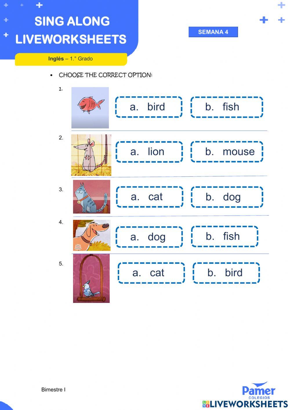 SALW-SEM4-1.° grado-ING-I BIM