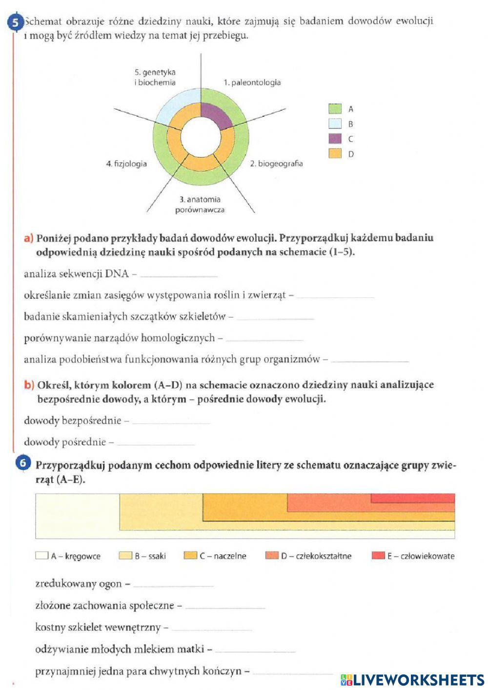 Ewolucja życia - KARTA PRACY