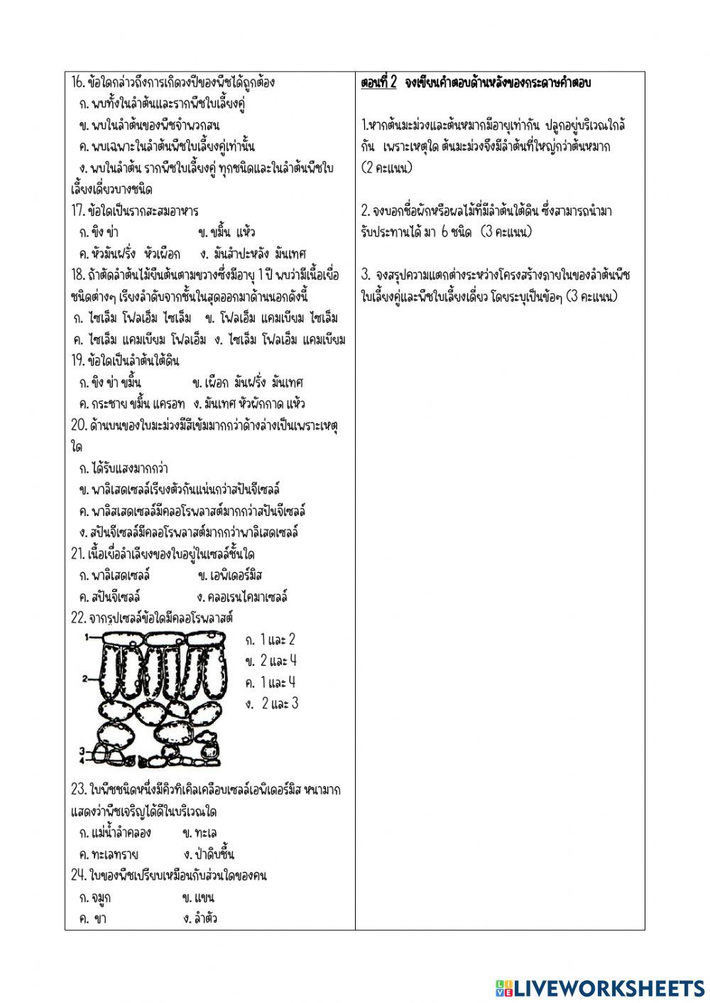 กลางภาค ว21217