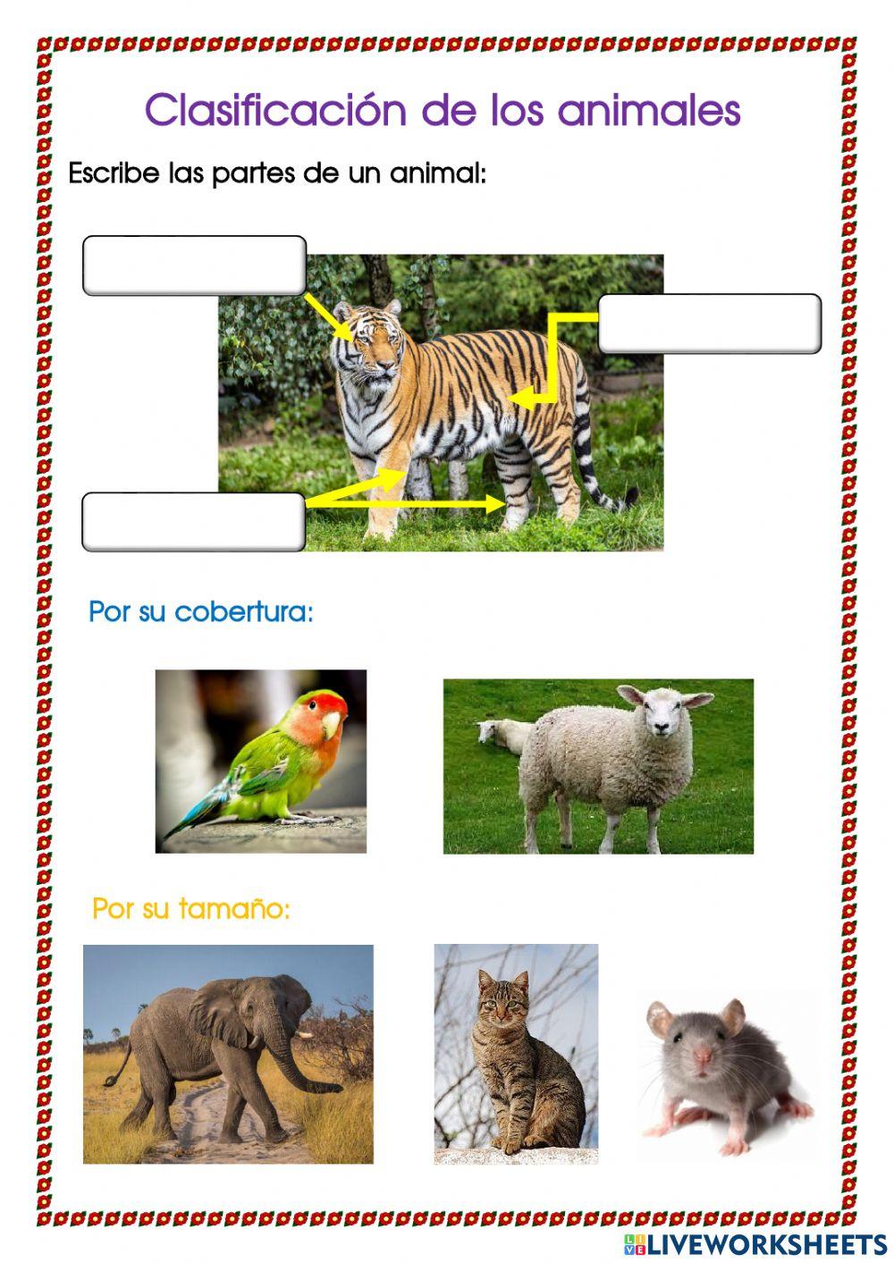 Clasificación de los animales