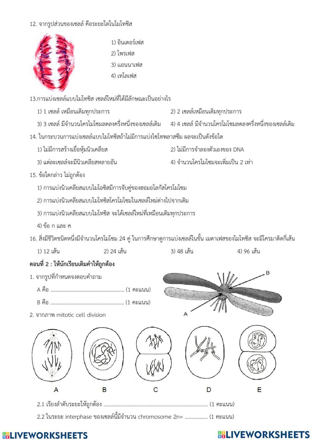 เก็บคะแนน ว31241