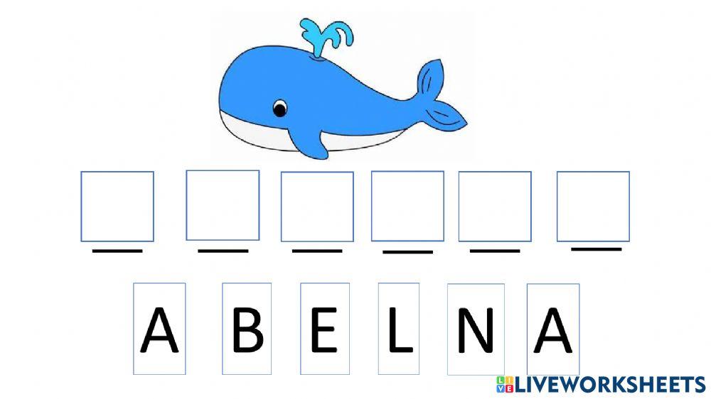 Ricostruisci la parola BALENA